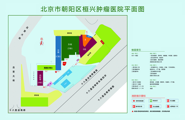 大机巴操骚逼jk视频北京市朝阳区桓兴肿瘤医院平面图